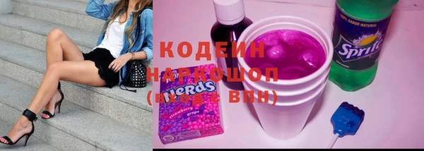 2c-b Ельня