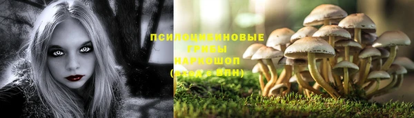 spice Елизово