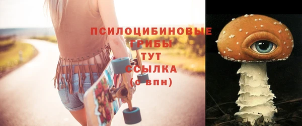 spice Елизово