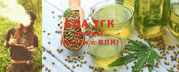 2c-b Ельня