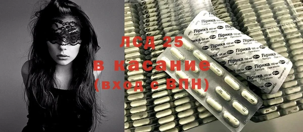 spice Елизово