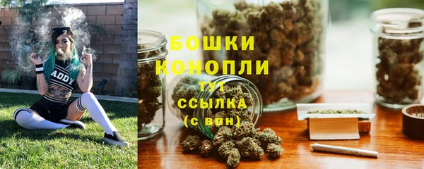 spice Елизово