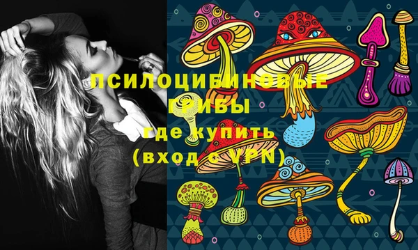 spice Елизово