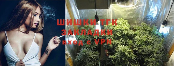spice Елизово