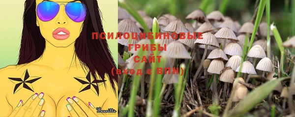 2c-b Ельня